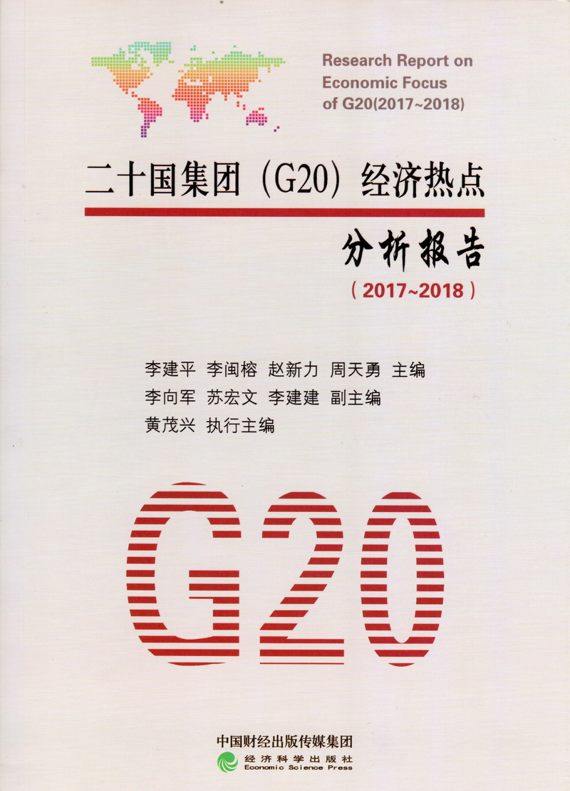 艹逼视频91094二十国集团（G20）经济热点分析报告（2017-2018）