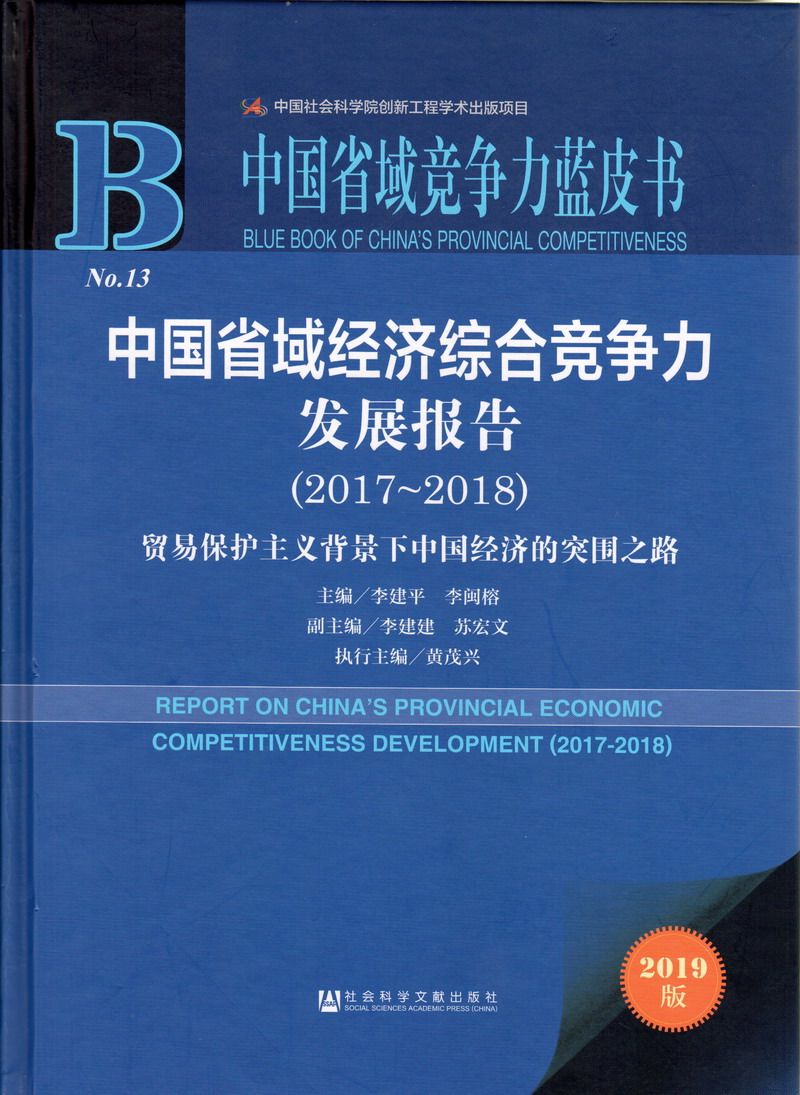 大机吧曹逼视频中国省域经济综合竞争力发展报告（2017-2018）